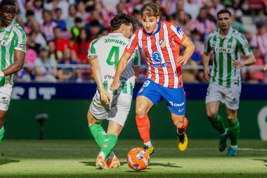 Madrid, İspanya - 18 Mayıs 2025: Atletico Madrid ile Real Betis arasındaki La Liga maçı başkentte oynandı. Atletico Madrid oyuncuları. La Liga 2024, 2025. Profesyonel oyuncular.