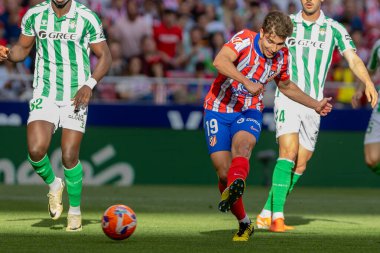 Madrid, İspanya - 18 Mayıs 2025: Atletico Madrid ile Real Betis arasındaki La Liga maçı başkentte oynandı. Atletico Madrid oyuncuları. La Liga 2024, 2025. Profesyonel oyuncular.