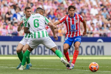 Madrid, İspanya - 18 Mayıs 2025: Atletico Madrid ile Real Betis arasındaki La Liga maçı başkentte oynandı. Atletico Madrid oyuncuları. La Liga 2024, 2025. Profesyonel oyuncular.