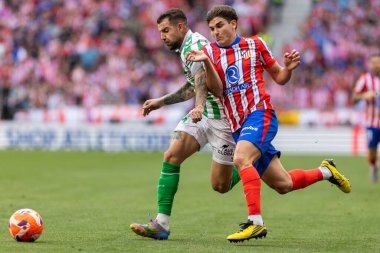 Madrid, İspanya - 18 Mayıs 2025: Atletico Madrid ile Real Betis arasındaki La Liga maçı başkentte oynandı. Atletico Madrid oyuncuları. La Liga 2024, 2025. Profesyonel oyuncular.