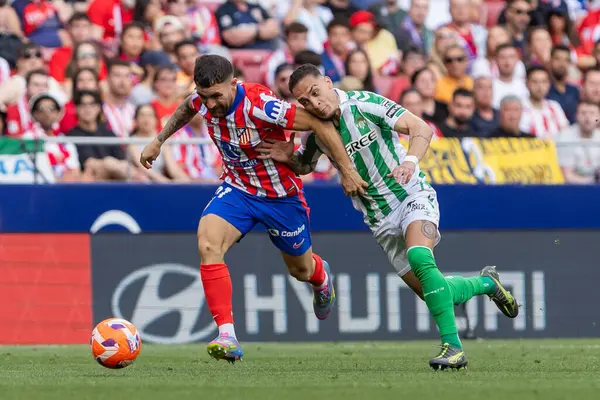 Madrid, İspanya - 18 Mayıs 2025: Atletico Madrid ile Real Betis arasındaki La Liga maçı başkentte oynandı. Gerçek Betis oyuncuları. La Liga 2024, 2025. Profesyonel oyuncular.