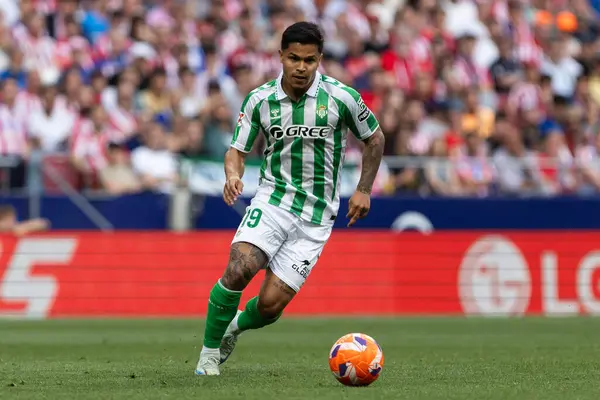 Madrid, İspanya - 18 Mayıs 2025: Atletico Madrid ile Real Betis arasındaki La Liga maçı başkentte oynandı. Gerçek Betis oyuncuları. La Liga 2024, 2025. Profesyonel oyuncular.