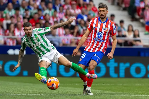 Madrid, İspanya - 18 Mayıs 2025: Atletico Madrid ile Real Betis arasındaki La Liga maçı başkentte oynandı. Gerçek Betis oyuncuları. La Liga 2024, 2025. Profesyonel oyuncular.