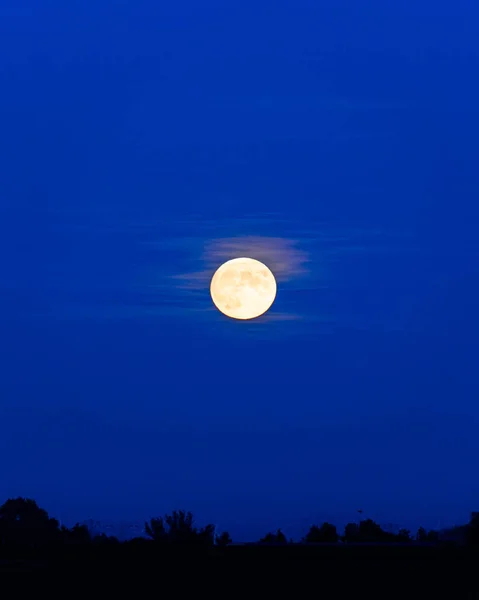 Lua Cheia Subir Hansweert Zeeland Países Baixos — Fotografia de Stock