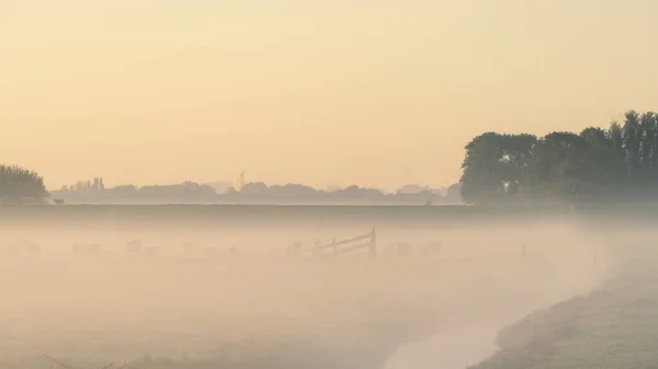 Sunrise with fog over the fields of 'T Woudt, The Netherlands.