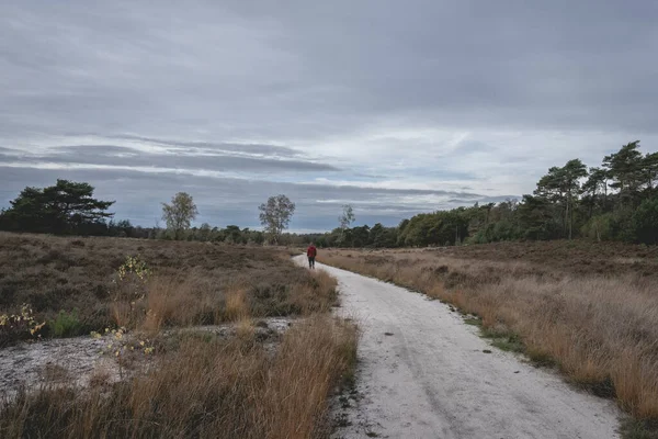 stock image Guy in a red jacket walked on the path, Noorderheide, Elspeet, The Netherlands.