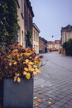 Valkenburg Limburg, Hollanda 'nın eski merkezinin güzel binaları.