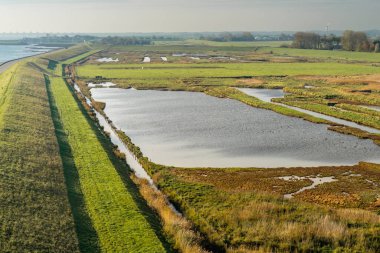 Overview from the wetlands in Burgh-Haamstede, from the Plompe tower. Zeeland, The Netherlands.