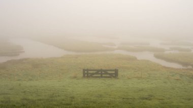 Bataklıklar üzerinde sisli bir gün, Burgh-Haamstede, Zeeland, Hollanda.