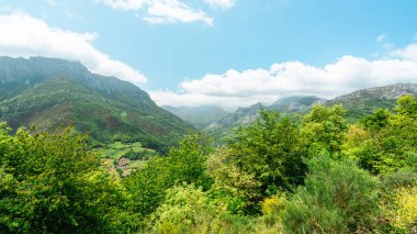 Covadonga, Austerias, İspanya 'daki güzel yeşil dağlar.