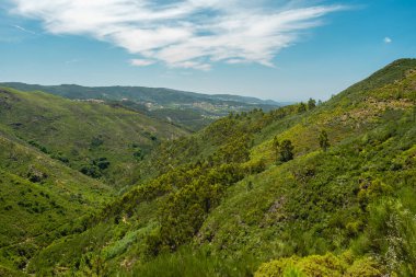 Güzel yeşil vadi Albergaria da Serra, Portekiz.