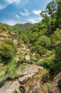 Güzel yeşil vadi Albergaria da Serra, Portekiz.