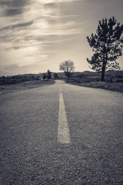 Schlechte Sicht Schwarz Weiß Von Einer Landstraße Albergaria Serra Portugal — Stockfoto