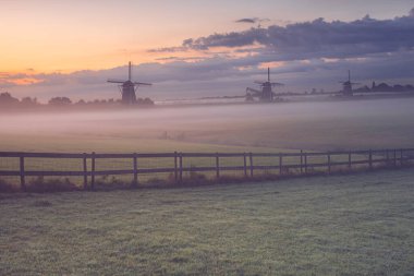 Sabah sisle Stompwijk, Hollanda 'daki üç yel değirmeninde.