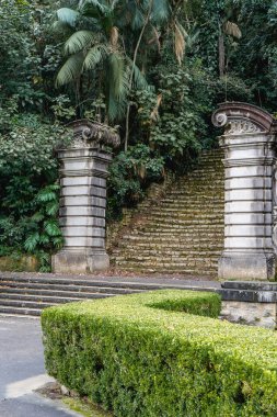 Brezilya, So Paulo 'daki Yardim Botanik Bahçesi' ndeki eski merdiven. 13 Mayıs 2024.