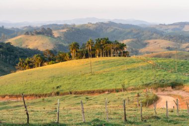 Santa Branca 'daki Güzel Vadi, So Paulo, Brezilya.