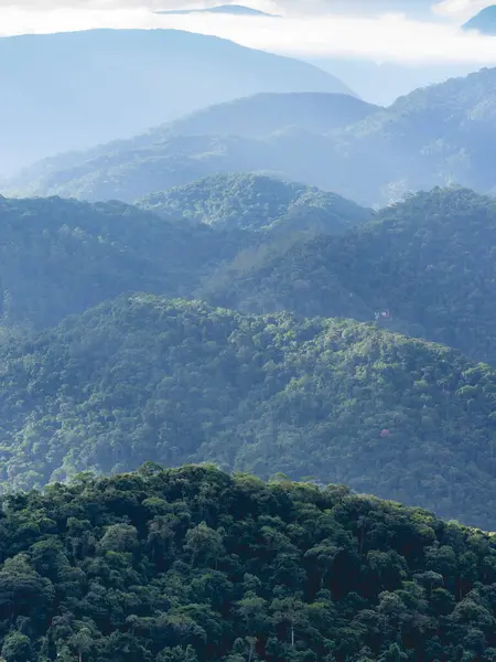 Petropolis, Rio de Janeiro, Brezilya 'daki güzel yeşil vadi.