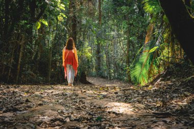 Brezilya 'nın So Paulo kentindeki Botanik Bahçesinde yürüyüş yapan kırmızı kazaklı Brezilyalı bir kadın..