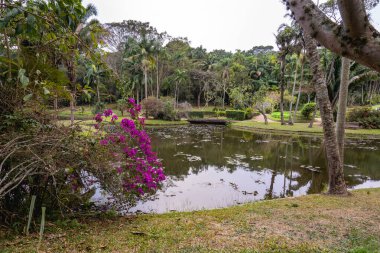 Jardim Botanik Bahçesi, So Paulo, Brezilya.