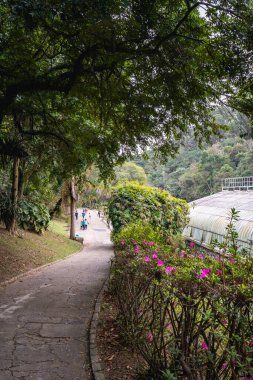 Jardim Botanik Bahçesi, So Paulo, Brezilya. 17 Temmuz 2024.