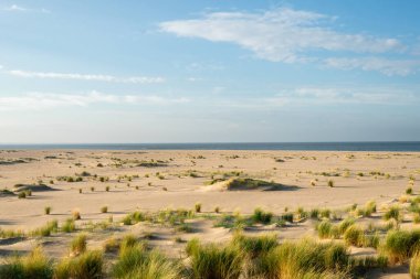 Maasvlakte, Rotterdam, Hollanda 'daki güzel sahil ve kumullar..