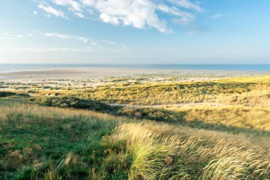 Maasvlakte, Rotterdam, Hollanda 'daki güzel sahil ve kumullar..