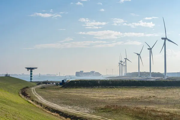 25 Ekim 2024. Maasvlakte Rotterdam, Hollanda. Maasvlakte, Rotterdam 'da bir grup yel değirmeni..