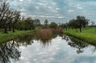 Utrecht kırsalındaki tarihi sığınaklar. Schalkwijk, Hollanda.
