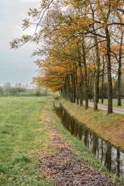Schalkwijk 'te sonbahar renkleri. Hollanda 'nın kırsal kesimi.