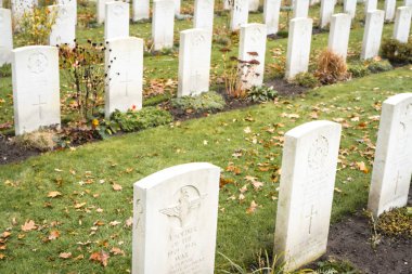 13 Kasım 2024. Oosterbeek, Hollanda. İkinci Dünya Savaşı 'ndan kalma İngiliz ve Polonyalı askerler için savaş mezarlığı..