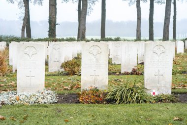 13 Kasım 2024. Oosterbeek, Hollanda. İkinci Dünya Savaşı 'ndan kalma İngiliz ve Polonyalı askerler için savaş mezarlığı..