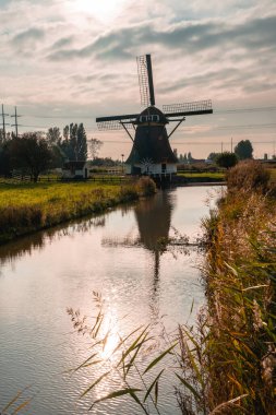 Schaapweimolen, Hollanda 'nın Rijswijk, Hollanda yel değirmeni.