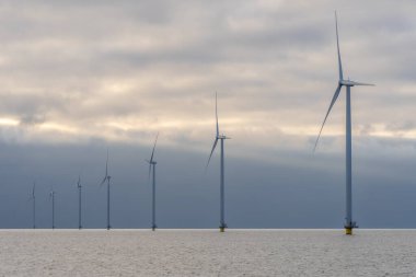 IJselmeer, Friesland, Hollanda 'daki yel değirmeni parkı.