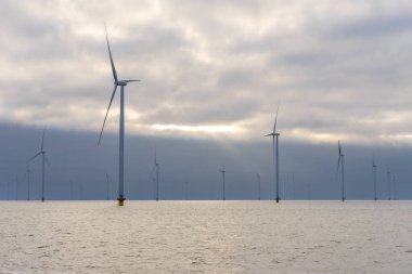 IJselmeer, Friesland, Hollanda 'daki yel değirmeni parkı.