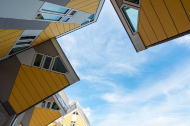 1 Aralık 2024. Rotterdam, Hollanda. Blaak, Rotterdam 'daki ünlü Cubus evleri..
