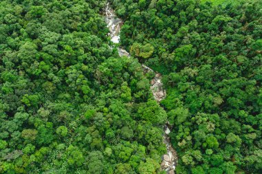 Paraty, Brezilya 'nın dağlarındaki bir şelaleden Arial Fotoğrafı.
