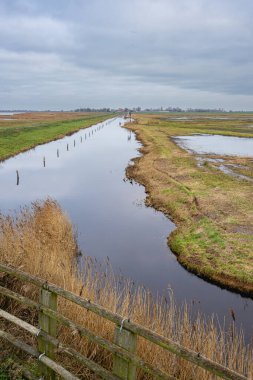 Workum, Friesland 'da Güzel Doğa Koruma Alanı. Bir sürü kuşla..