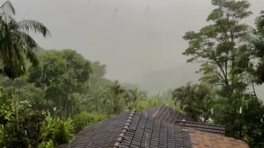 Brezilya 'nın Paraty dağlarında sağanak yağış.