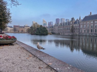 The Hague, Netherlands November 5, 2024. The Hovijver in The Hague, The Dutch parlement. clipart