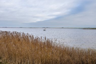 İkinci Dünya Savaşı Pilotları Anıtı, Molkwerum, Hollanda