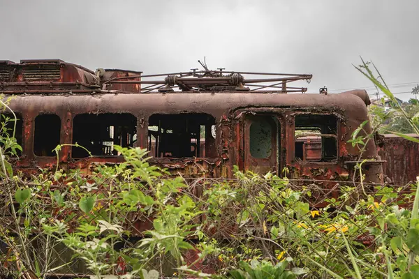 10 Mart 2025. Santo Andre SP Brezilya 'da terk edilmiş bir İngiliz tren istasyonu..