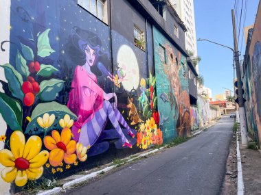 Tatuape, Sao Paulo, Brezilya 'daki güzel duvar resimleri. 7 Mart 2025.