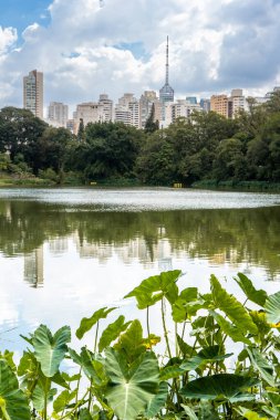 Sao Paulo 'nun Skyline' ı, Parc de Aclimao 'da