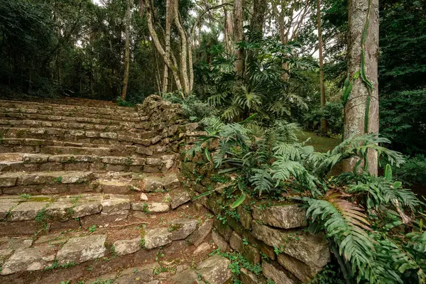 Jardim Botanik Bahçesi, Sao Paulo, Brezilya.