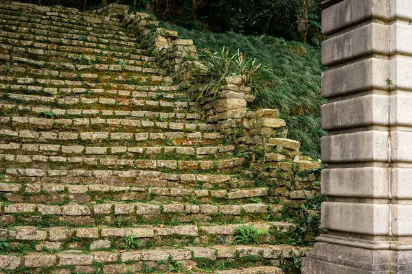 Jardim Botanik Bahçesi, Sao Paulo, Brezilya.