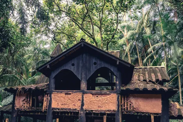 Brezilya, Sao Paulo 'daki Jardim Botanik Bahçesi' nde terk edilmiş eski ahşap bir ev...