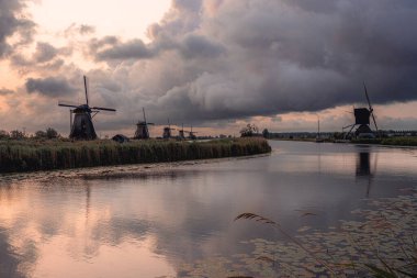 KInderdijk yel değirmenleri, sabahın erken saatlerinde. Hollanda.