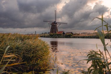 KInderdijk yel değirmenleri, sabahın erken saatlerinde. Hollanda.