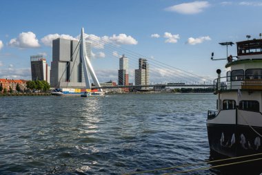 Hollanda, Rotterdam 'daki Erasmus köprüsü ile Skyline. 22 Haziran 2025.