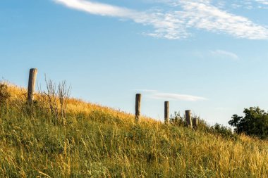 Hollanda 'daki Scharendijke hendeğinin üzerinde altın bir ışık.